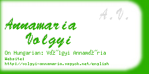 annamaria volgyi business card